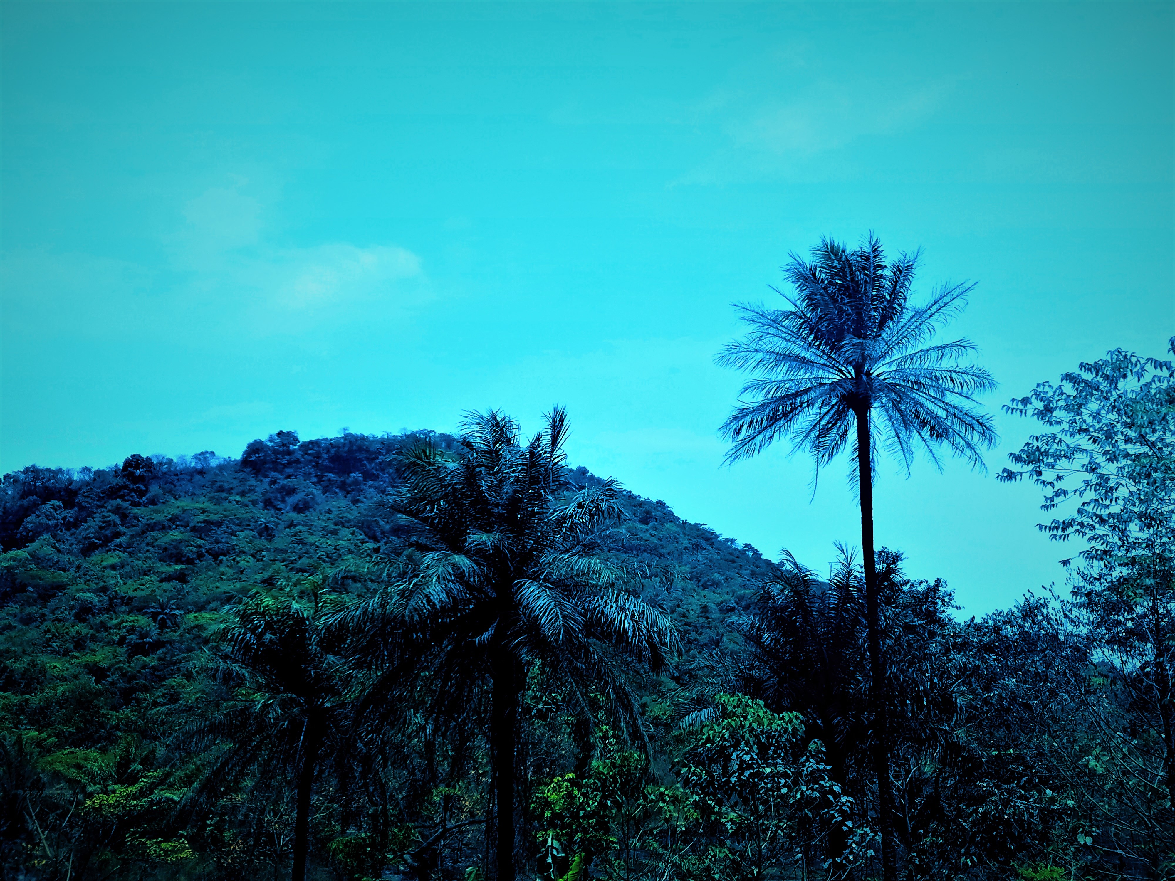 Images